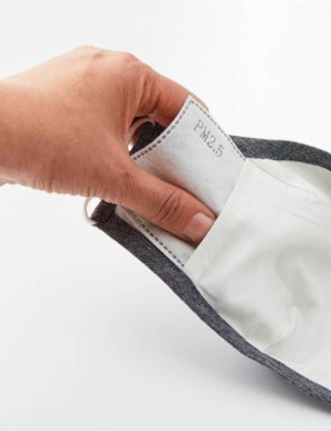 Premier PM2.5 Activated Carbon Mask Filter 10pk 